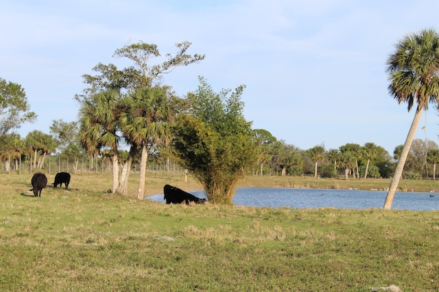 water view