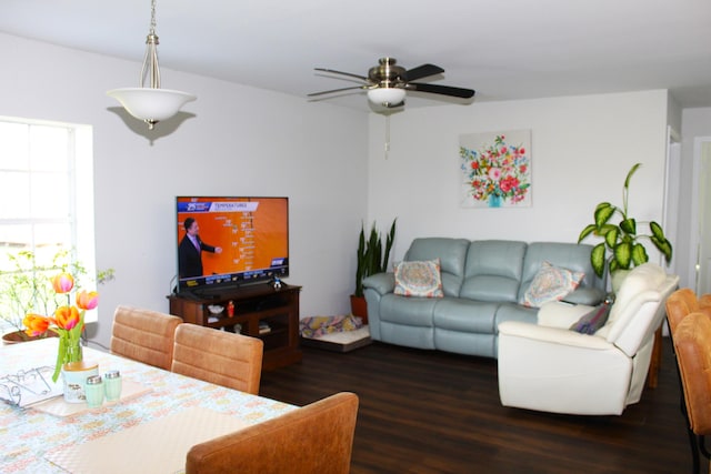 dining room with wood finished floors and a ceiling fan