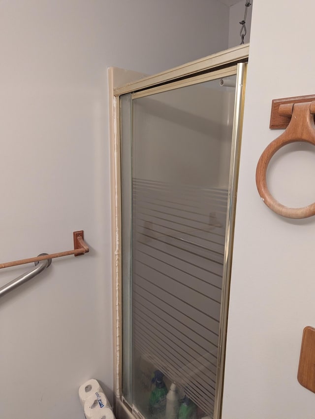 bathroom featuring a shower stall
