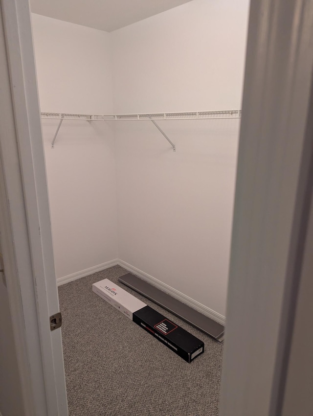 walk in closet with carpet
