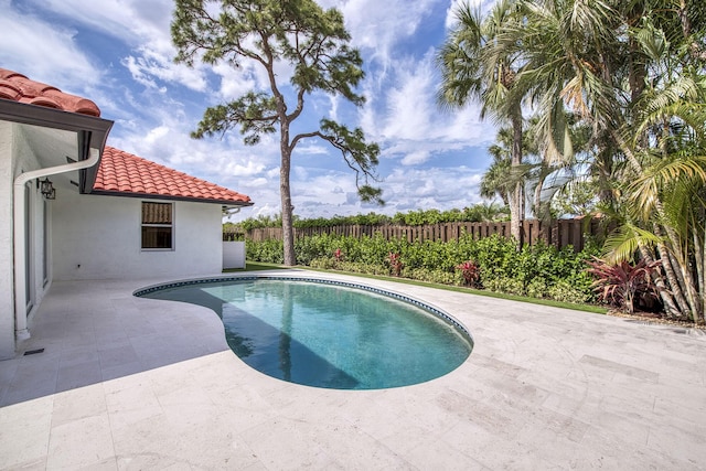 view of swimming pool featuring a patio, a fenced backyard, and a fenced in pool