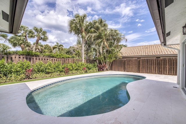 view of swimming pool with a patio area, a fenced backyard, and a fenced in pool