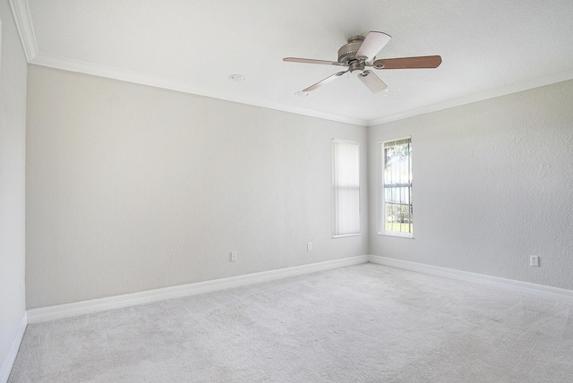 spare room with baseboards, carpet flooring, and crown molding