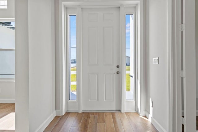 entryway with a wealth of natural light, baseboards, and wood finished floors