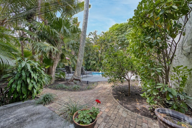 270 Cordova Rd, West Palm Beach, FL 33401 - view of yard featuring a patio and an outdoor pool