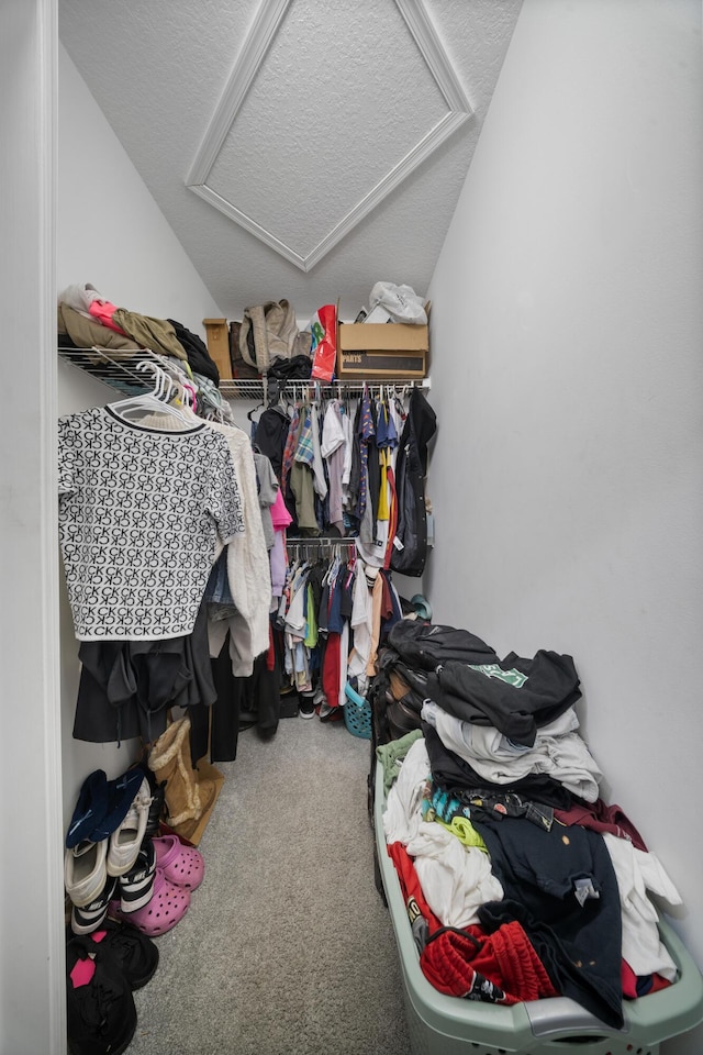 walk in closet with carpet flooring, attic access, and lofted ceiling