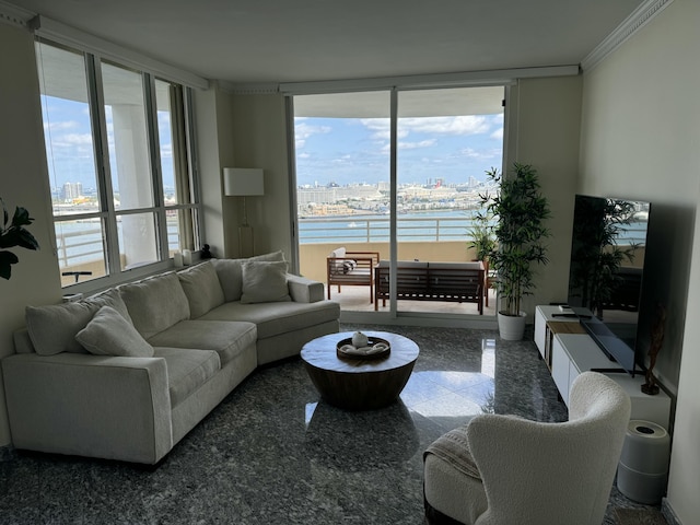 living area featuring a wall of windows, granite finish floor, and crown molding