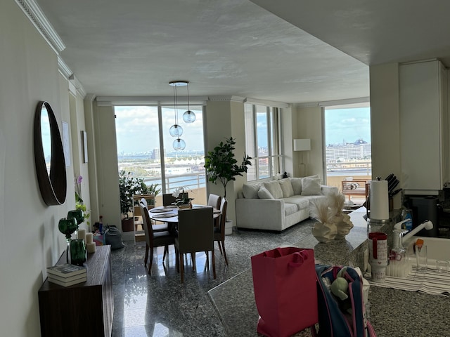 dining space featuring a healthy amount of sunlight