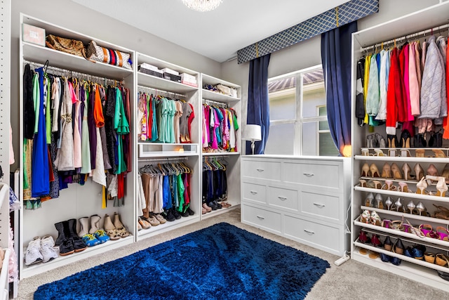 walk in closet featuring carpet floors