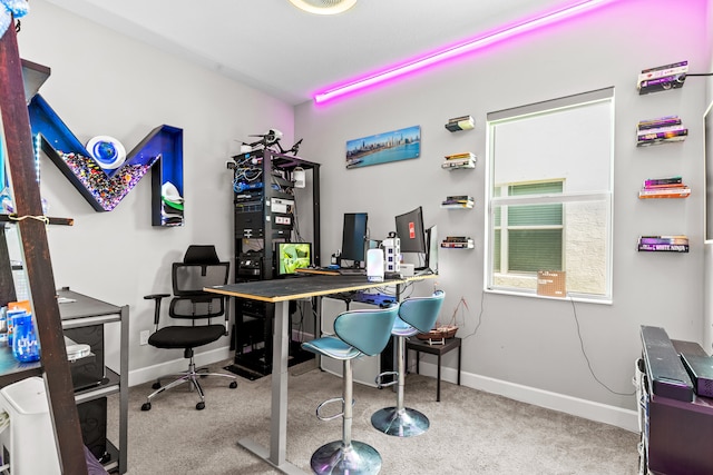 office space featuring baseboards and carpet floors