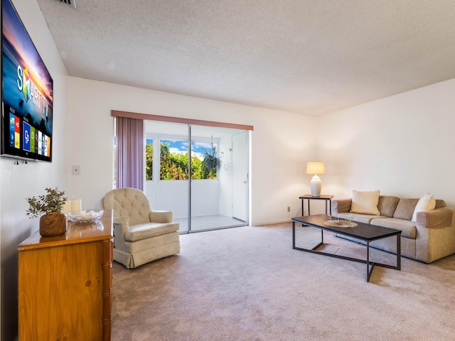 living area with carpet and a textured ceiling