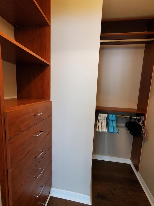 spacious closet featuring dark wood-style floors