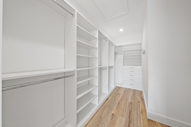 walk in closet featuring light wood finished floors