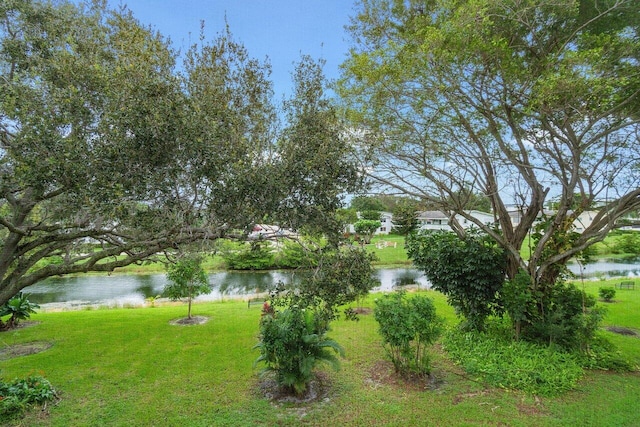 view of yard with a water view