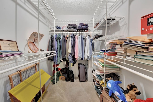 spacious closet featuring carpet flooring