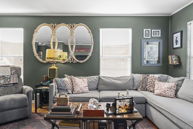 living area with wood finished floors and crown molding