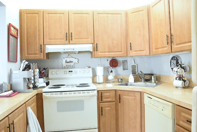 kitchen featuring under cabinet range hood, light brown cabinetry, light countertops, white appliances, and a sink