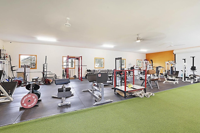 13327 Marcella Blvd, Loxahatchee Groves, FL 33470 - exercise room with a ceiling fan