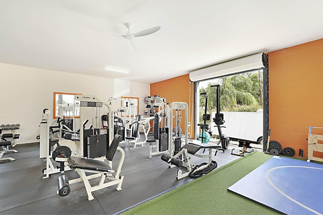 gym with plenty of natural light and ceiling fan