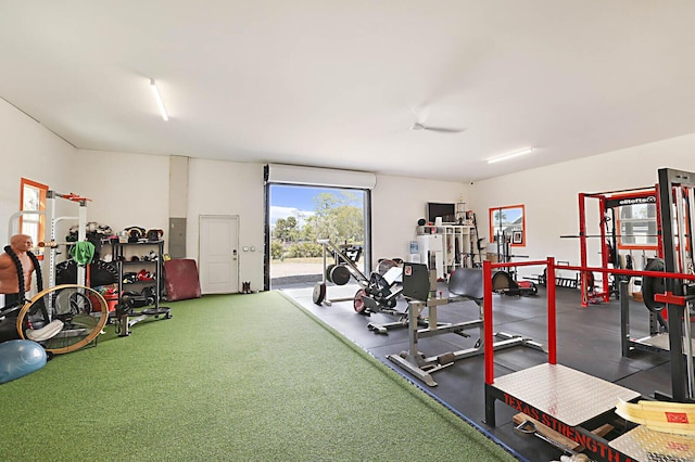 workout area with electric panel