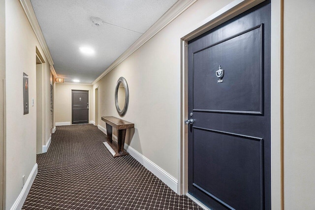 hallway featuring baseboards, dark colored carpet, and ornamental molding