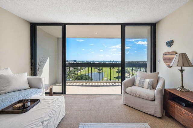 living room with a textured ceiling, a wall of windows, and carpet floors