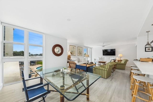 dining space with a wealth of natural light, floor to ceiling windows, light wood-type flooring, and a ceiling fan