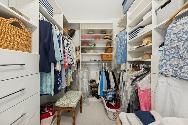 view of spacious closet