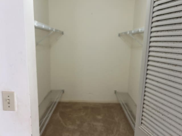 walk in closet featuring carpet flooring