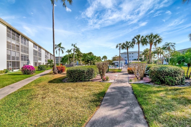 view of community with a yard