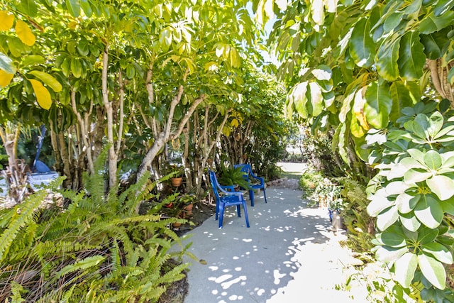 view of property's community with a patio