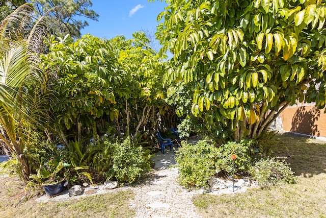 view of yard with a patio