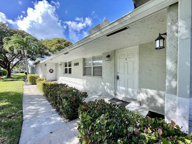 doorway to property with stucco siding and a yard