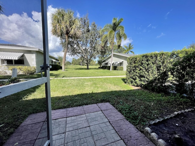 view of yard featuring a patio area