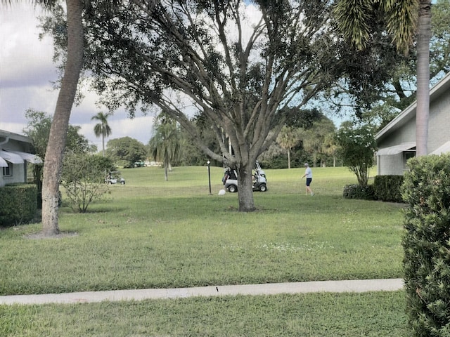 view of property's community featuring a yard