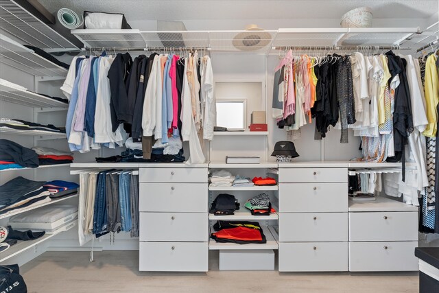 view of spacious closet