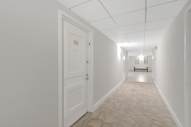 hallway featuring carpet, a paneled ceiling, and baseboards