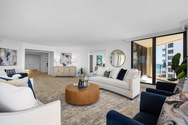 living area featuring light wood finished floors