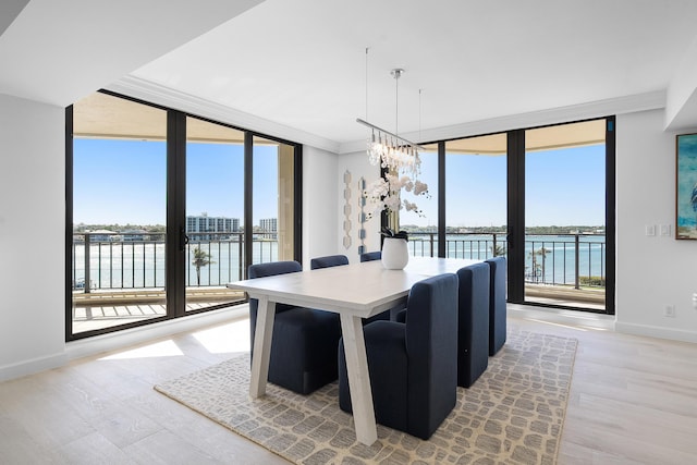 dining room with floor to ceiling windows, baseboards, light wood-type flooring, and a water view