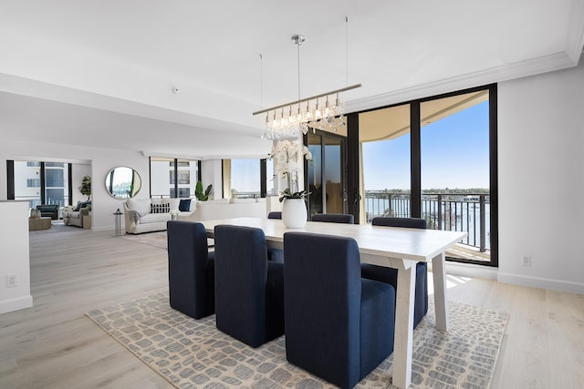 dining area with expansive windows, baseboards, and light wood-style floors