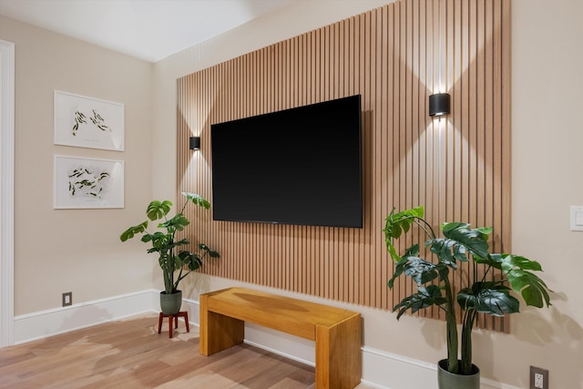 interior details featuring baseboards and wood finished floors