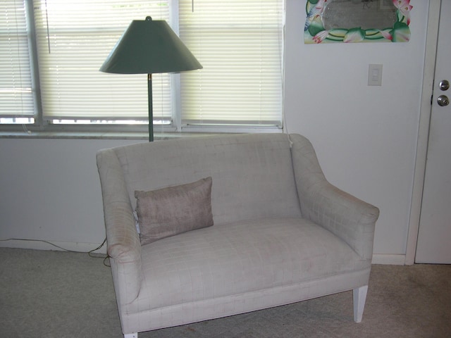 sitting room with carpet flooring