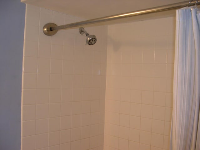 interior details with curtained shower