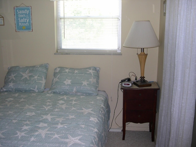 bedroom with carpet flooring