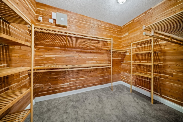 spacious closet with carpet flooring