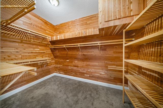 8686 Andrews Ave, Fort Pierce, FL 34945 - walk in closet featuring carpet flooring