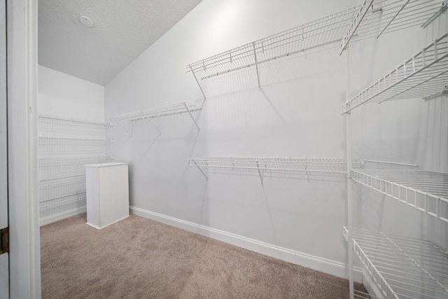 spacious closet featuring lofted ceiling and carpet flooring