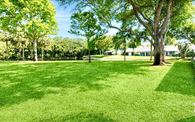 view of property's community featuring a lawn