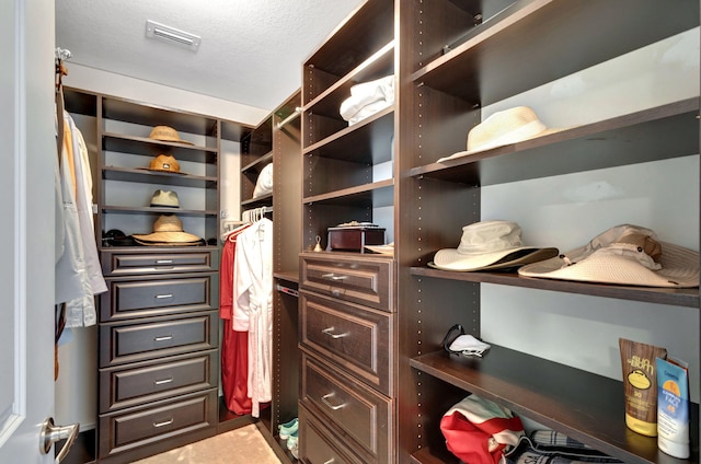 view of spacious closet