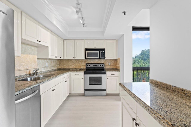 kitchen featuring ornamental molding, decorative backsplash, appliances with stainless steel finishes, a raised ceiling, and a sink